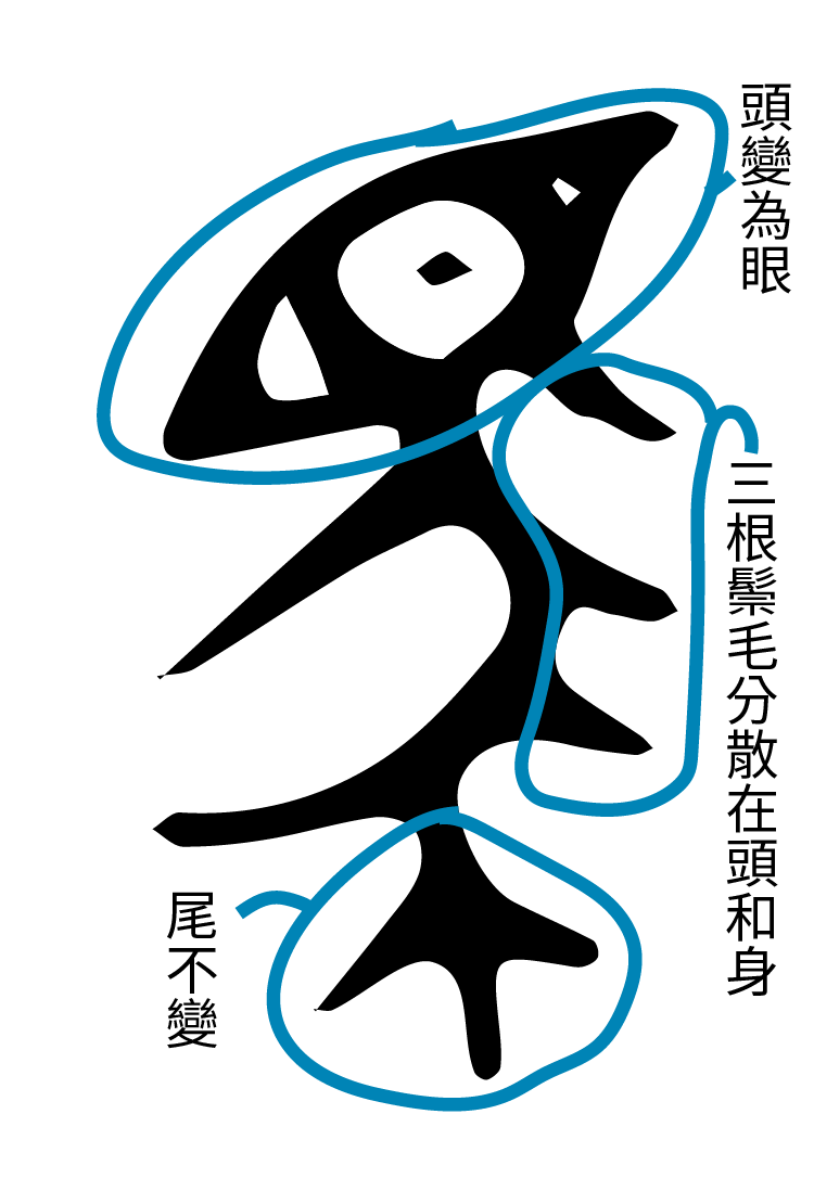 馬-金文1字形分析