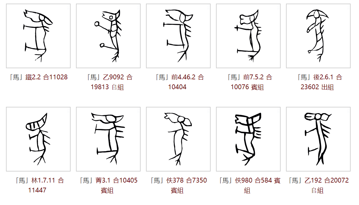 甲骨文「馬」的多種寫法