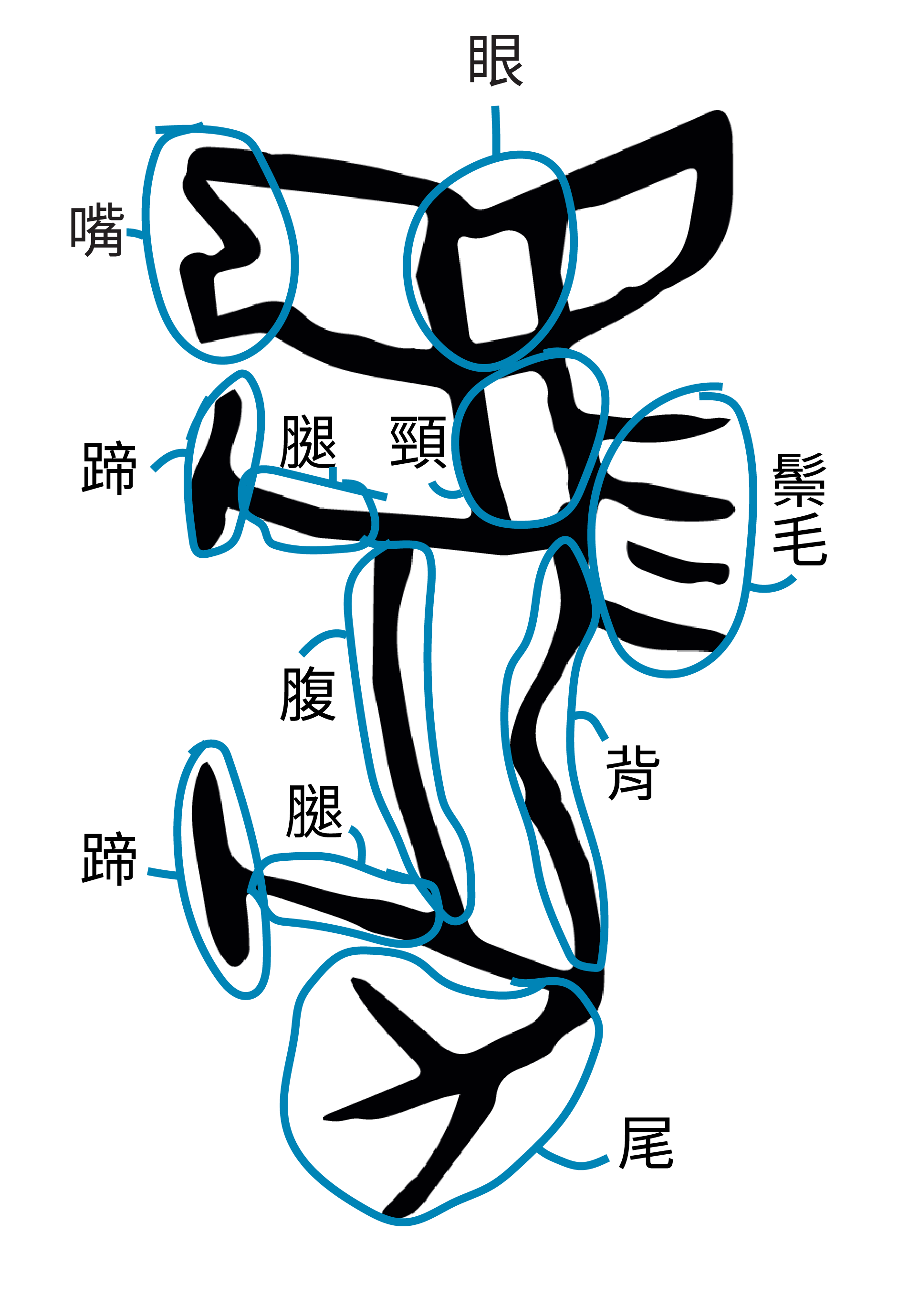 馬-甲骨文字形分析